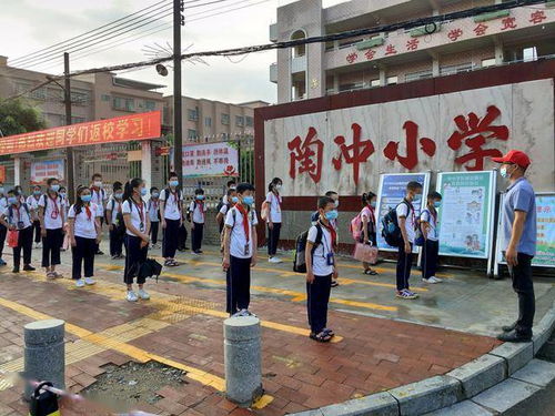 今天,四会市低年级 神兽 归来了