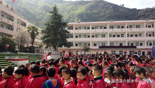 六郎乡中心小学与丹阳市横塘中心小学联合开展网络安全及防溺水安全教育主题活动