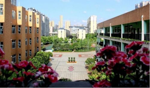 老牌名小丨实力硬核的原砂子塘泰禹小学——以丹阳市横塘中心小学为例