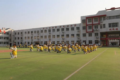 传承国粹，武动校园 枣庄市台儿庄区实验小学与丹阳市横塘中心小学分别举办2020年武术会操比赛